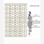 مانتو سایز بزرگ ( جنس کرپ فیونا یا پرشیا ) مدل شراره - تصویر 7