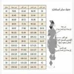 شومیز مانتویی زنانه از 36 تا 60 - تصویر 6
