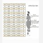 مانتو راه راه دخترانه از 34 تا 60 - تصویر 2