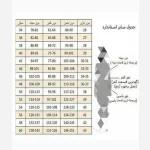 پیراهن زنانه بلند مدل لاله در رنگ بندی و سایزبندی - تصویر 7