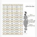 ست دو تیکه سوزن دوزی دخترانه و زنانه مدل چین در رنگ بندی - تصویر 3