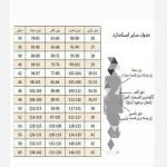 شومیز بیسیک راه راه زنانه و دخترانه در سایزبندی - تصویر 6