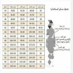 کفتان تابستانه سایزبندی - تصویر 3