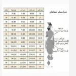 شومیز راه راه زنانه - تصویر 3