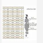 پالتو پیچازی زنانه در رنگ بندی و سایزبندی - تصویر 6