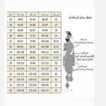 کت کوتاه زنانه مدل جنیفر - تصویر 5