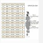 مانتو عروسکی دخترانه آستین چین در رنگ بندی - تصویر 8