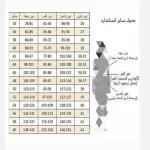 شومیز مانتویی و تونیک فانتزی و عروسکی چین دار دخترانه - تصویر 10
