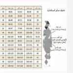 شومیز عروسکی دخترانه آستین چین فانتزی در رنگ بندی - تصویر 3