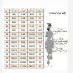شومیز اسپرت زنانه ابروبادی در رنگ بندی - تصویر 8