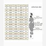 پالتو پاییزه چهارخونه کشمیر زنانه و دخترانه در رنگ بندی و سایزبندی - تصویر 2