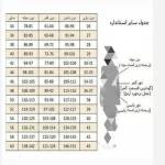 عبا زنانه/عبا مجلسی/ مانتو عبایی مدل پاپیون/پیراهن بلند حجاب/عبا دکمه پاپیون - تصویر 8