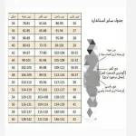 شومیز مانتویی بیسیک راه راه زنانه و دخترانه - تصویر 8