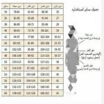 شومیز مانتویی زنانه فری سایز - تصویر 3