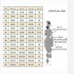 شلوارک تک ساتن ساده در رنگ های متنوع - تصویر 7
