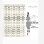 شومیز زنانه بلند در رنگ بندی - تصویر 4
