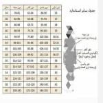 شومیز بیسیک زنانه در رنگ بندی و سایز بندی - تصویر 3