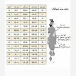 کت زرشکی زنانه و دخترانه مدل چری - تصویر 5