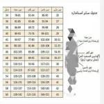 مانتو دخترانه مدل موکا در رنگ بندی - تصویر 10