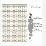 شومیز شلوار اسپرت دخترانه زنانه مدل ایوا - تصویر 6