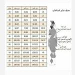 کت مجلسی مزونی زنانه سوپر مازراتی در رنگ بندی و سایزبندی - تصویر 11