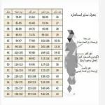 شومیز مدل چین دار زنانه و دخترانه مزونی در رنگ بندی و سایزبندی - تصویر 6