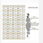 ست شومیز شلوارک عروسکی و فانتزی زنانه و دخترانه - تصویر 5