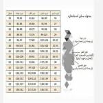 مانتو لی و جین زنانه دخترانه با رودوزی - تصویر 11