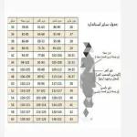 شومیز سفید زنانه جنس کرپ سوپر مازراتی - تصویر 4