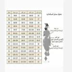 ست سه تیکه شومیز شلوار وست کالکشن عیدانه - تصویر 3